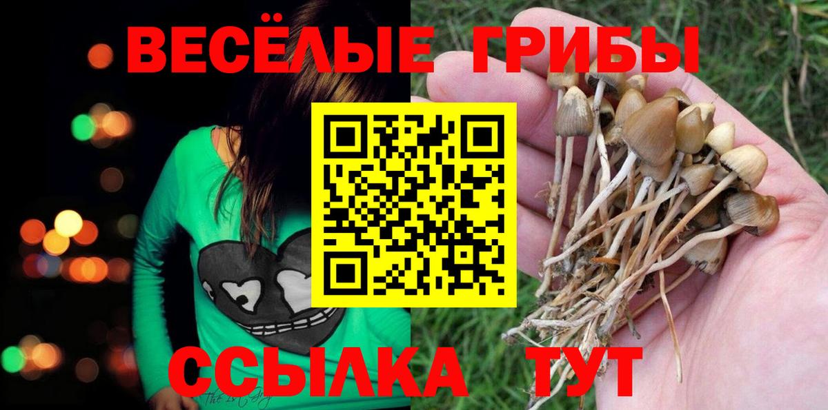 купить  цена  Вход с VPN  Анапа  Галлюциногенные грибы MAGIC MUSHROOMS 