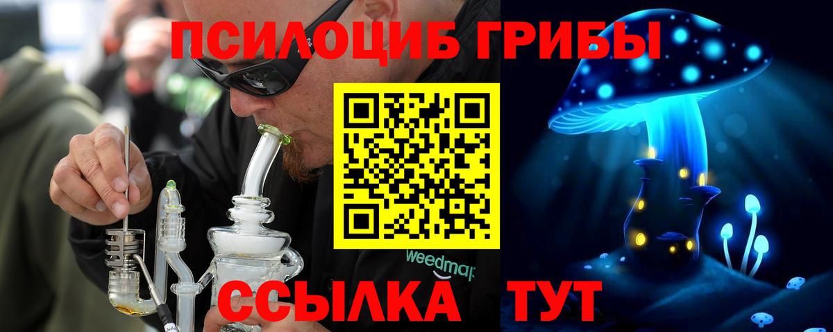Псилоцибиновые грибы Psilocybine cubensis Анапа